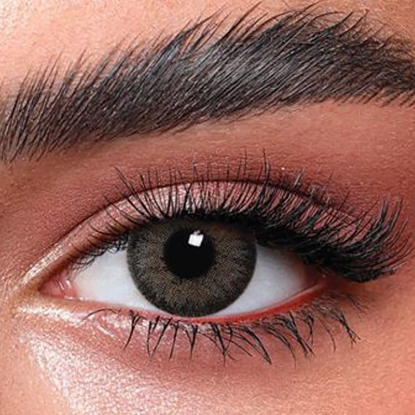 بيلا كونتور جراي 