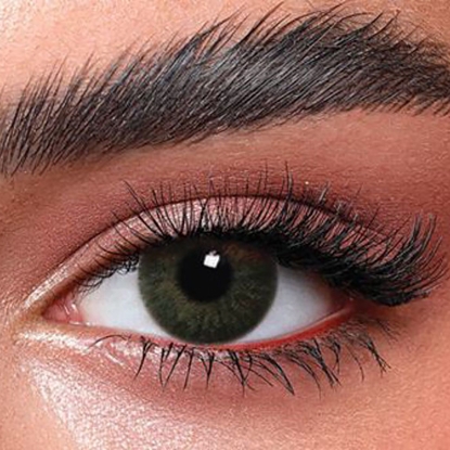 بيلا كونتور جرين 