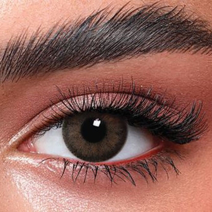 بيلا كونتور هازل 