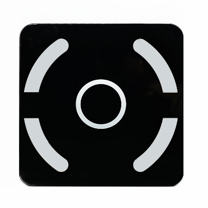 Digital Scale BF 8031 for weight control 