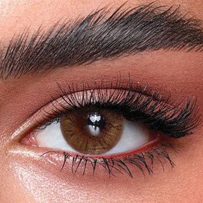 Bella One Day Hazel Honey