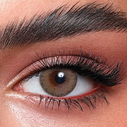 بيلا إيليت جرين أوليف بلانو