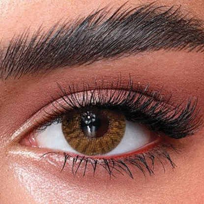 Bella One Day Radiant Hazelnut