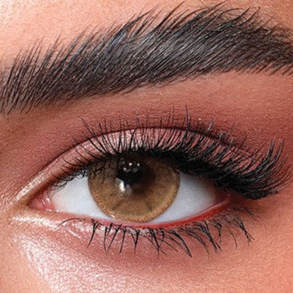 Bella One Day Hazel Beige