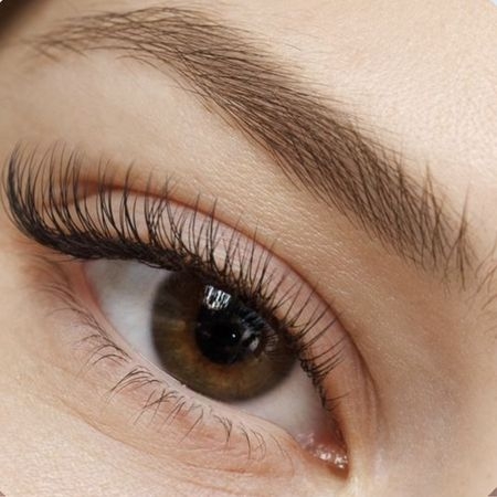 Picture for category Lashes & Brow