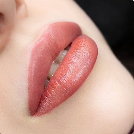 Picture for category Lip